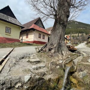 Vlkolinec_ilustracna (9)