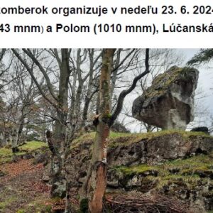 Kojsova