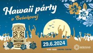 Hawaii party