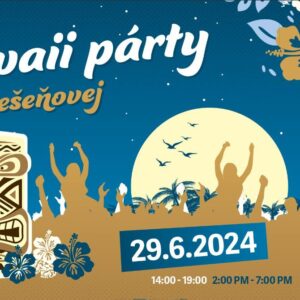 Hawaii party