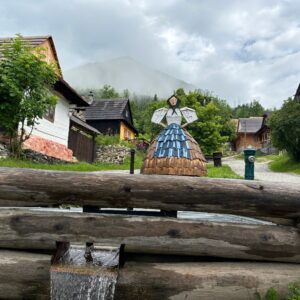 IMG_1626