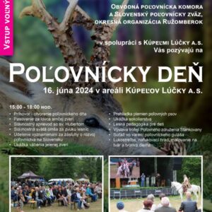 Polovnicky den