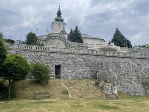 IMG_3646