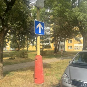 IMG_5725