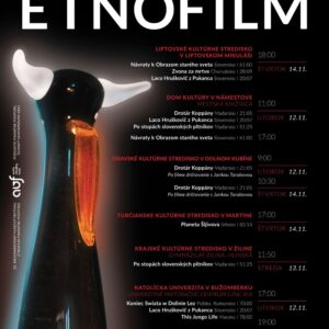 Etnofilm