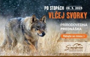 Po stopach vlcej svorky