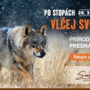 Po stopach vlcej svorky