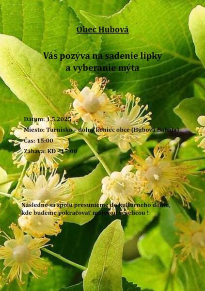 Sadenie lipky