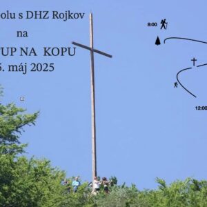 Kopa