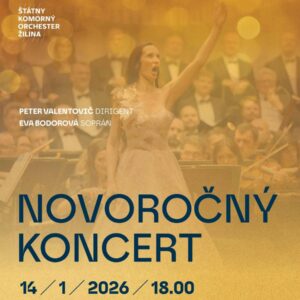 Novorocny koncert 2