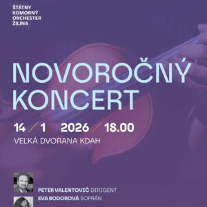 Novorocny koncert