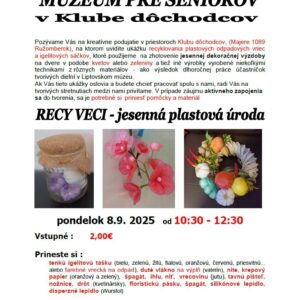 Recy veci