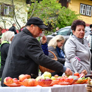 Výstava5