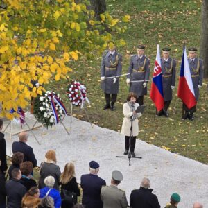 25ed072a-8f07-4374-9564-3672ee985bd0