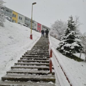 7AAACF7A-53B6-4638-B8EA-044C0FD1FE8A