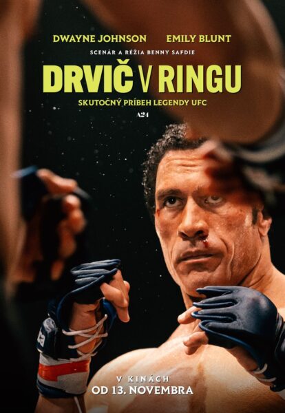 Drvic v ringu