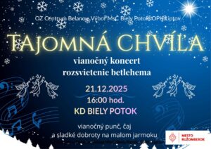 Tajomna chvila