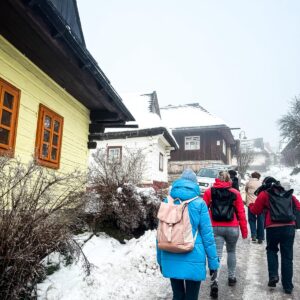 76d78df4-6355-4c80-b222-6a2db465391e