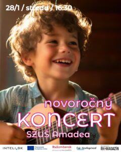 Novorocny koncert Amadea