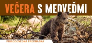 Vecera s medvedmi