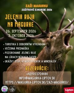 Jelenia ruja