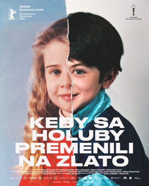 Keby sa holuby premenili na zlato