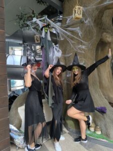 Skola zahad a halloweenskej zabavy